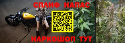 гашик Рязань