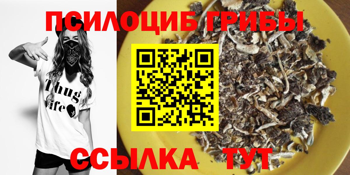 Псилоцибиновые грибы Psilocybine cubensis Прокопьевск