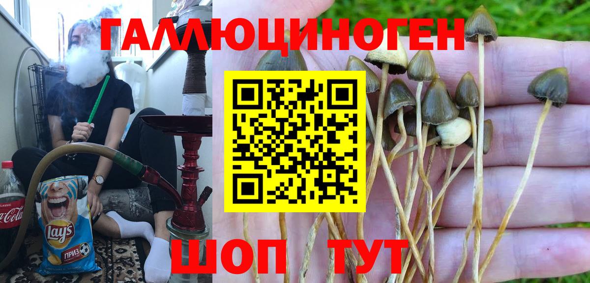Псилоцибиновые грибы MAGIC MUSHROOMS  Вход с VPN  Прокопьевск 