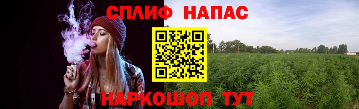 Конопля MAZAR Прокопьевск